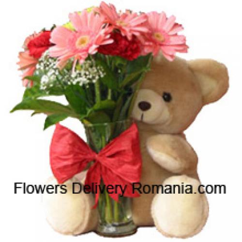 11 Red Carnations and Pink Gerberas with Teddy