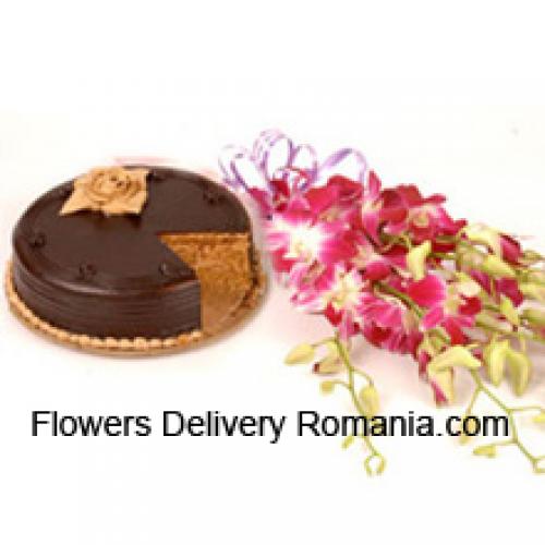 Orchide rosa con deliziosa torta al cioccolato da 1/2 kg