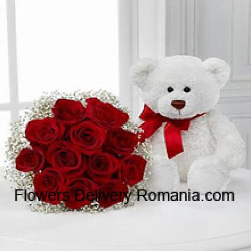 11 Rode Rozen met 14 Inch Schattige Teddybeer