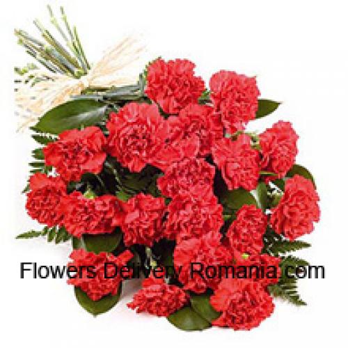 Pretty 25 Red Carnations