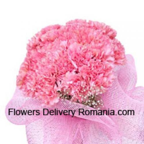 Cute 25 Pink Carnations