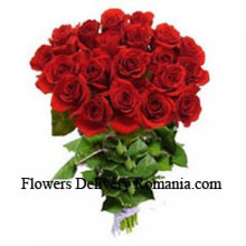 25 Rose Rosse Incantevoli