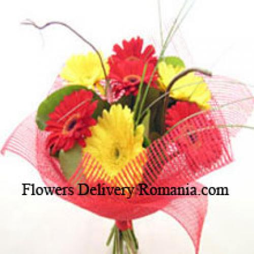 Cute Mixed Gerberas