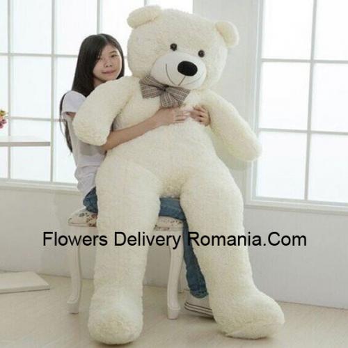 5 Feet Giant Teddy