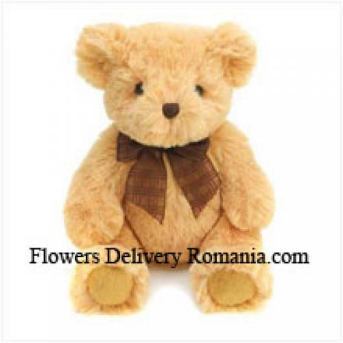 Kuscheliger 6 Zoll brauner Teddy