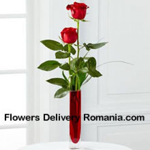 2 Sweet Red Roses in Vase