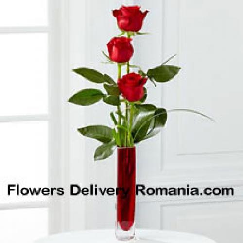 3 Carini Rose Rosse